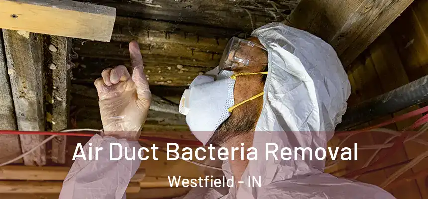 Air Duct Bacteria Removal Westfield - IN