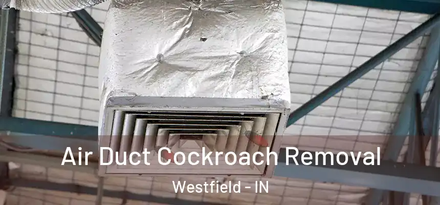  Air Duct Cockroach Removal Westfield - IN