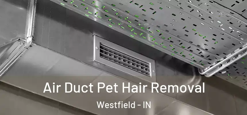 Air Duct Pet Hair Removal Westfield - IN