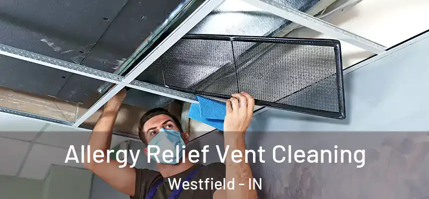  Allergy Relief Vent Cleaning Westfield - IN