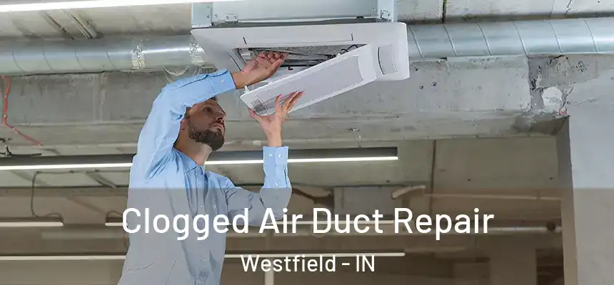  Clogged Air Duct Repair Westfield - IN
