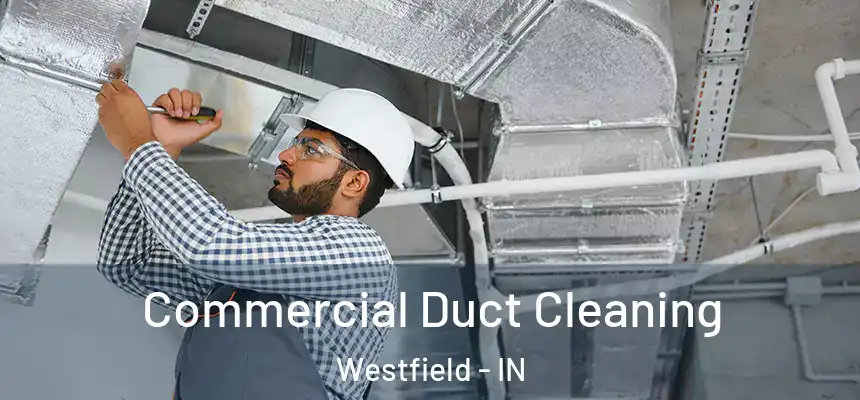 Commercial Duct Cleaning Westfield - IN