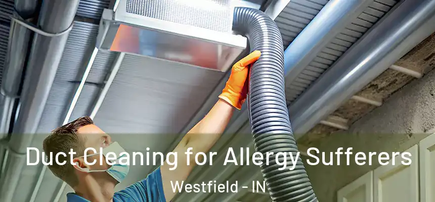 Duct Cleaning for Allergy Sufferers Westfield - IN