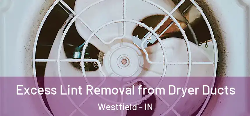  Excess Lint Removal from Dryer Ducts Westfield - IN