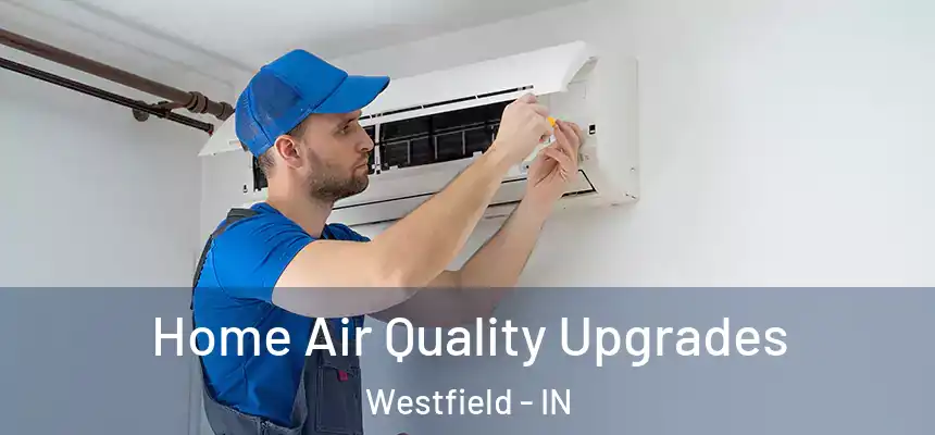  Home Air Quality Upgrades Westfield - IN