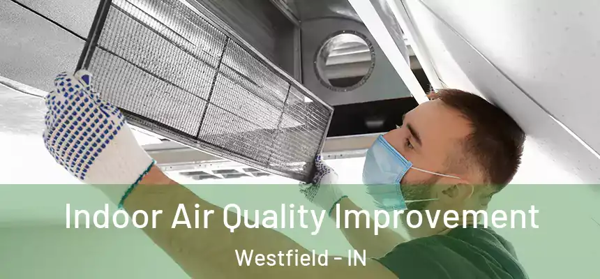 Indoor Air Quality Improvement Westfield - IN