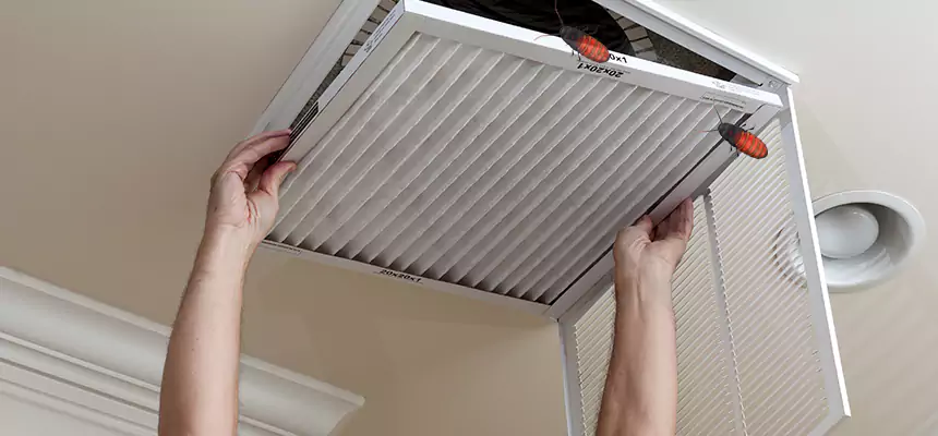 Our Insect Removal from Air Ducts Services in Westfield, IN