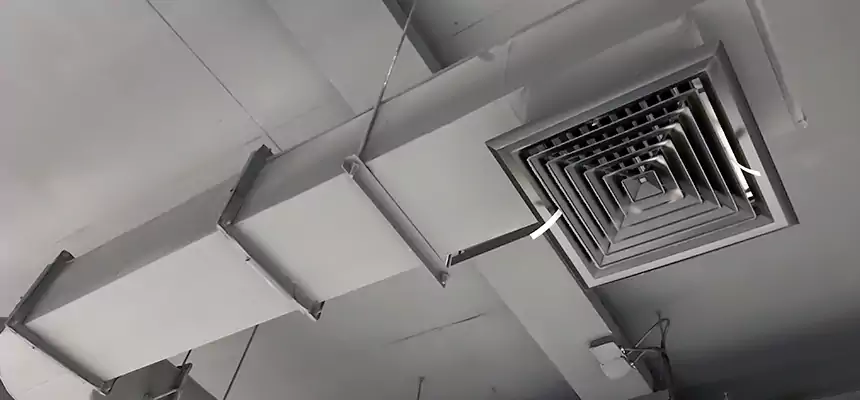 Our Pest Removal From Ducts Services in Westfield, IN