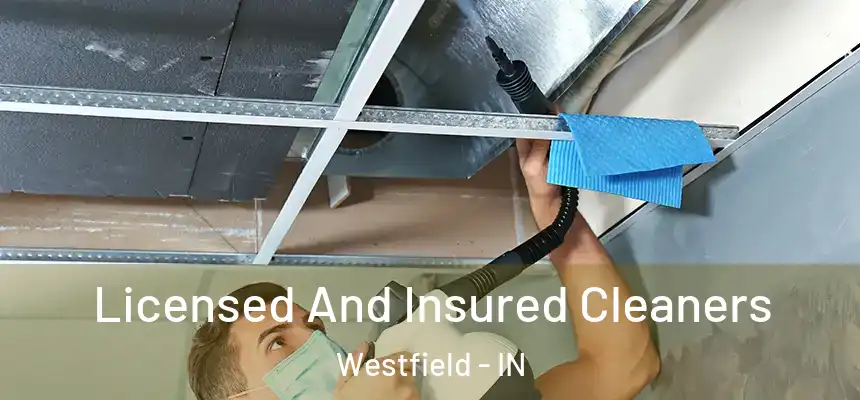 Licensed And Insured Cleaners Westfield - IN