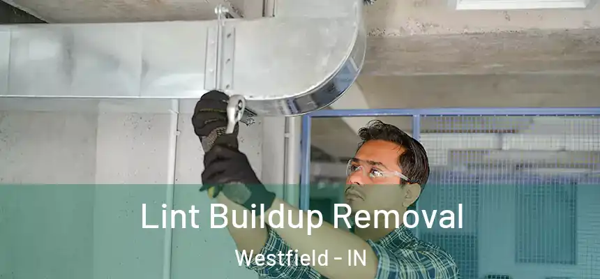 Lint Buildup Removal Westfield - IN
