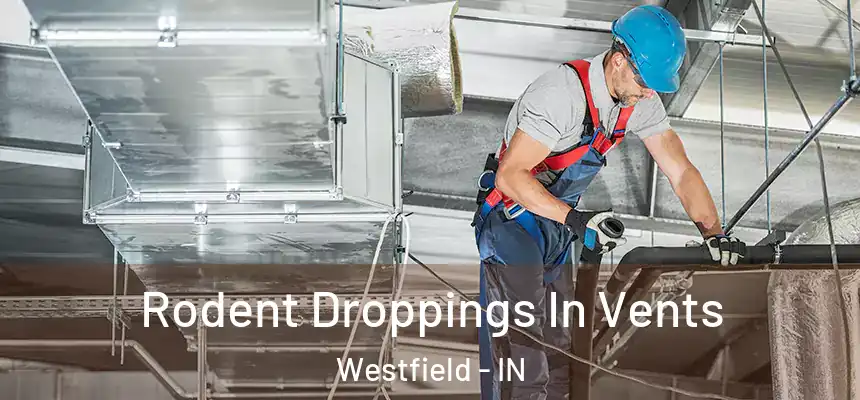  Rodent Droppings In Vents Westfield - IN