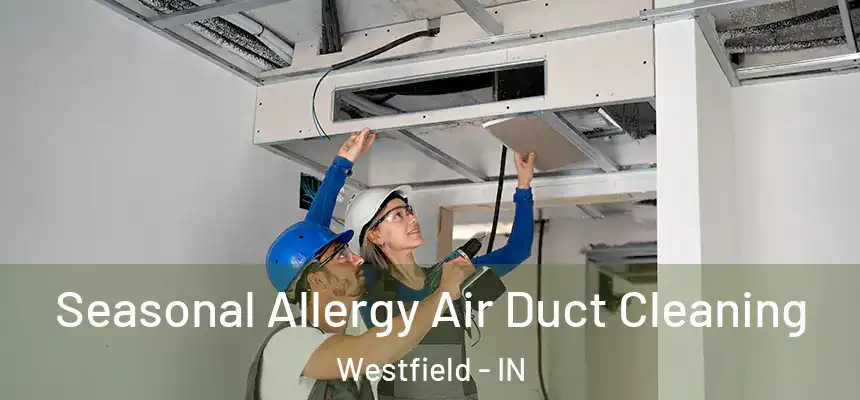  Seasonal Allergy Air Duct Cleaning Westfield - IN