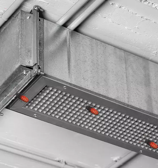 About Air Duct Cockroach Removal in Westfield, IN