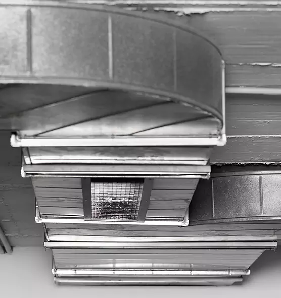 Professional Air Duct Pest Removal in Westfield, IN