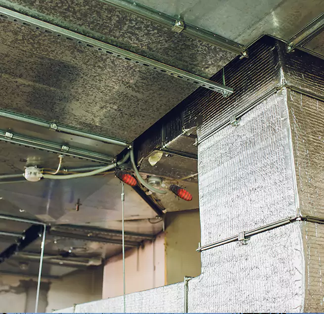 Why Homeowners & Businesses Trust Us in Westfield, IN?