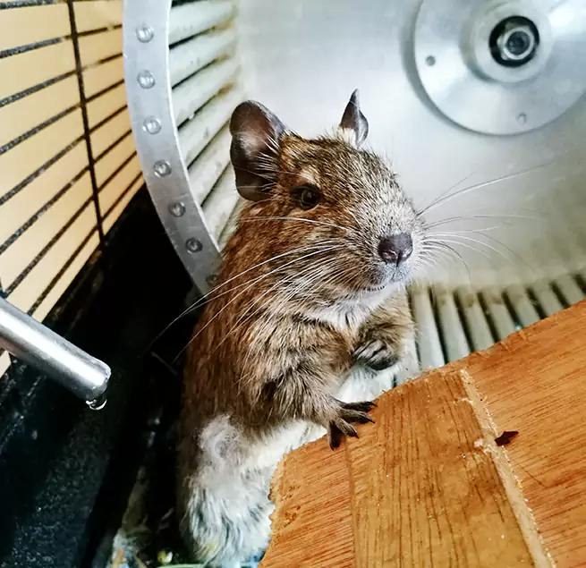 Why Homeowners & Businesses Trust Us Westfield, IN