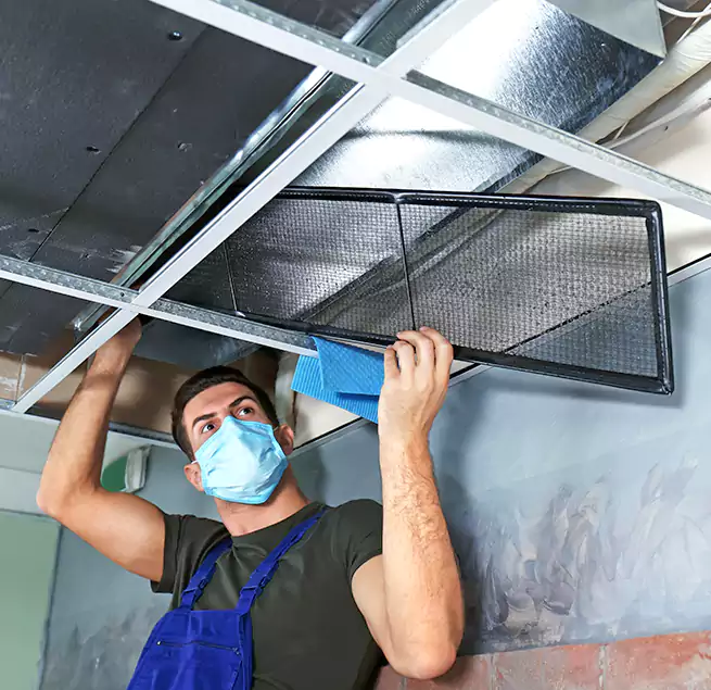 Why Homeowners Businesses Trust Us in Westfield, IN